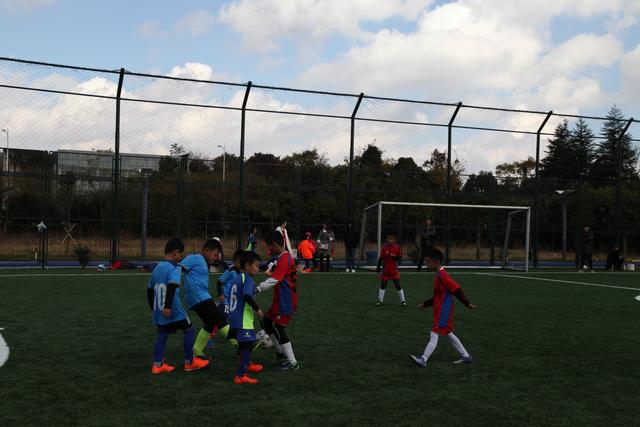 培根37+11上海力克山西4连胜 浙江送江苏8连败